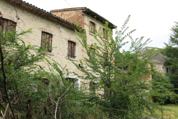 IMG_1002 IMG_1002