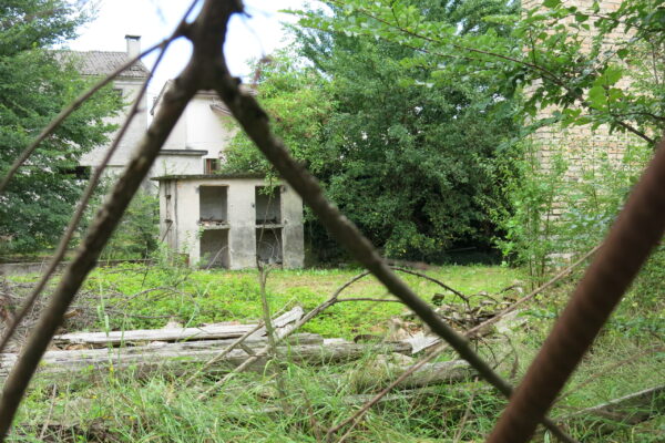 IMG_1003 IMG_1003